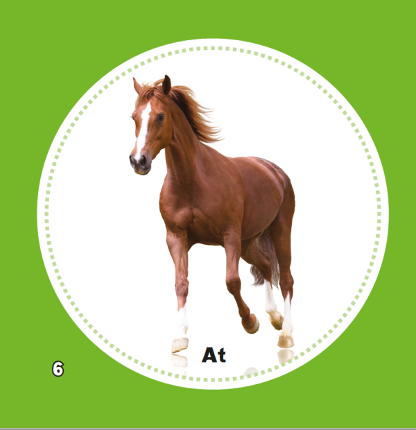 My First-Animals - Image 3