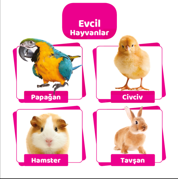 First 100 Animals - Small - Image 3