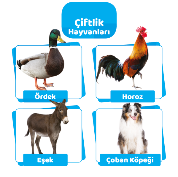 First 100 Animals - Small - Image 2