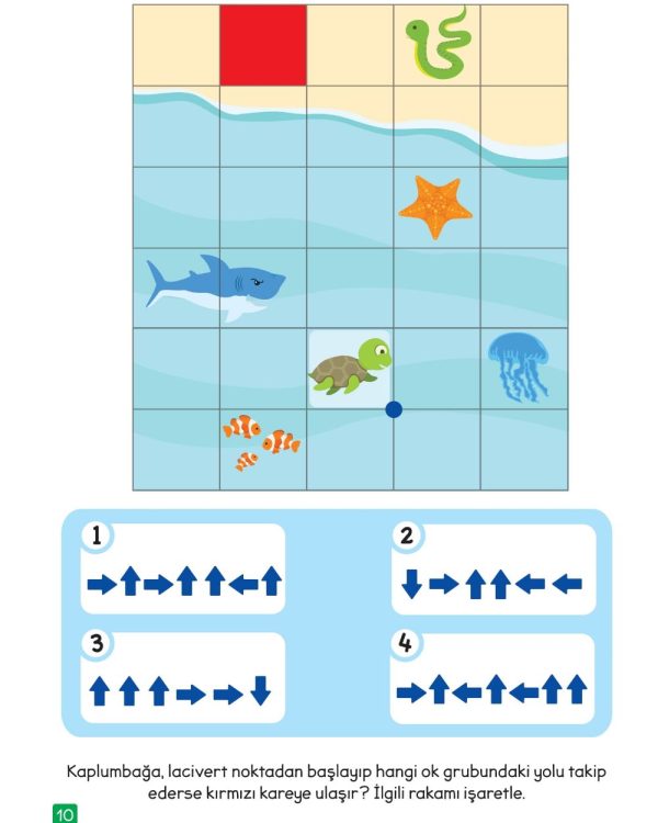 The Early Academic Development Cognitive Activities 5-6 Age - Image 4