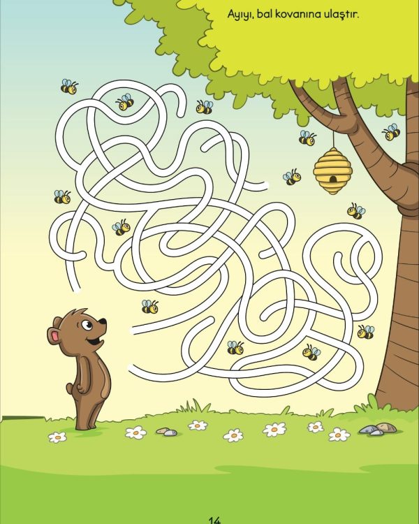 The Early Academic Development Maze Book 5-6 Age - Image 2
