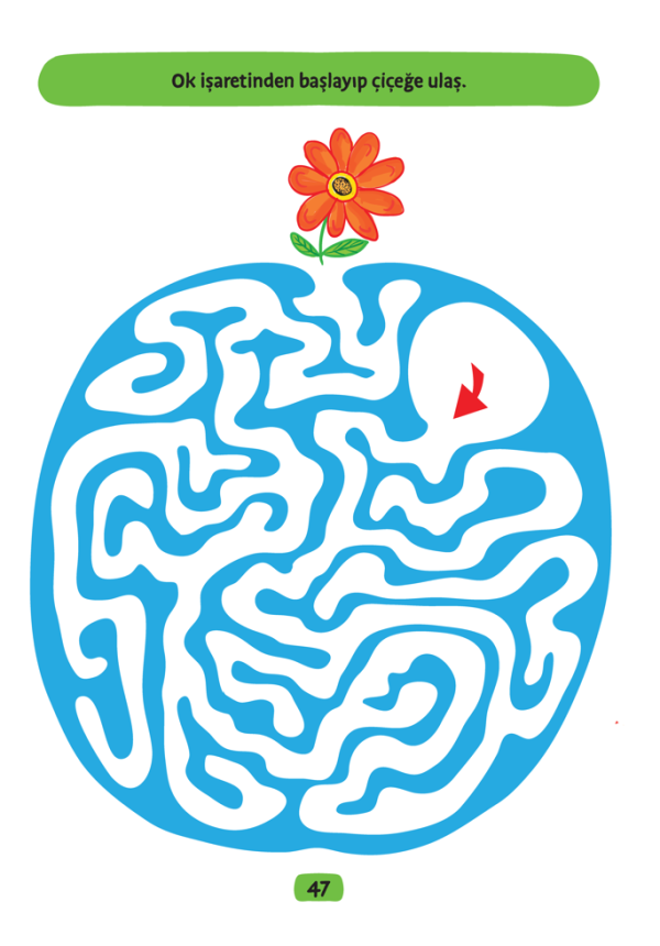 The Maze For Kids - Image 3