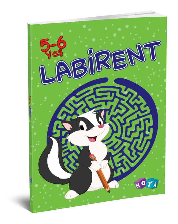 The Maze For Kids